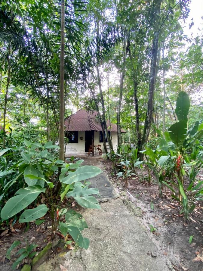 Reservamazon Forest Hotel Belém Kültér fotó